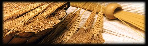 Welcome To Gujarat Export Company