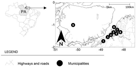 Prevalence and Genotyping of HPV in Oral Squamous Cell Carcinoma in ...