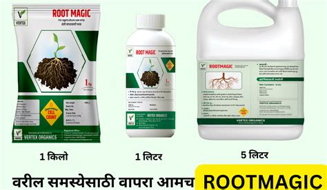 Buy Pseudomonas fluroscens supplier in Karnataka