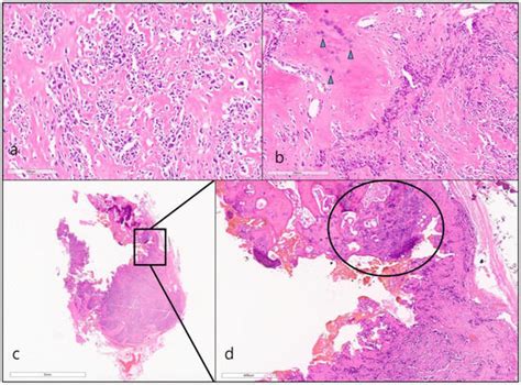 Diagnostics | Special Issue : What's New in Diagnostic Radiological ...