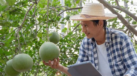 Farm Record Keeping Programs 的图像结果