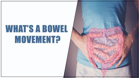 What Is Liquid Bowel Movement at Harrison Trethowan blog