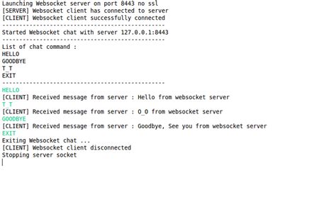 Websocket Tutorial Java 的图像结果