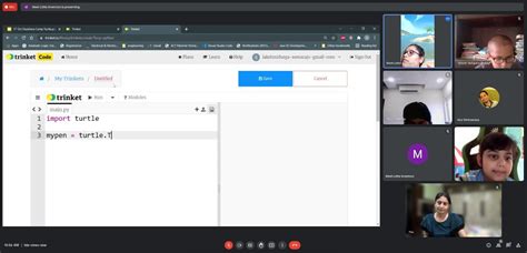 Image result for Python Turtle Programming