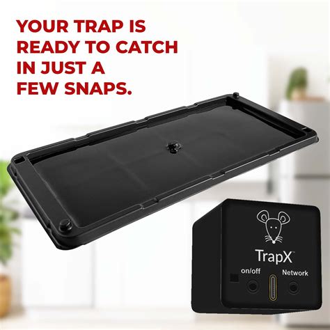 The Ultimate Guide to Mouse Trap Buckets: Catching Mice Made Easy