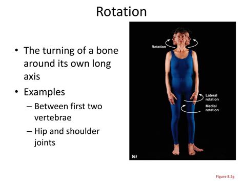 Image result for Rotation Joint Movement