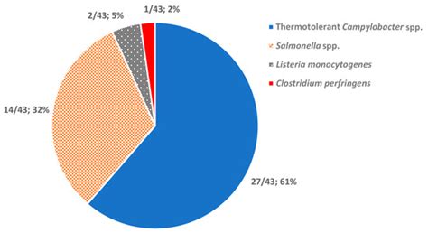 Foods | Special Issue : Advanced Research in Foodborne Microorganisms ...