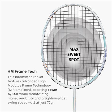ARASHI SS WHITE – Tanso Racquets