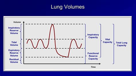 Lung Flow Rate Chart at Sandra Mathers blog