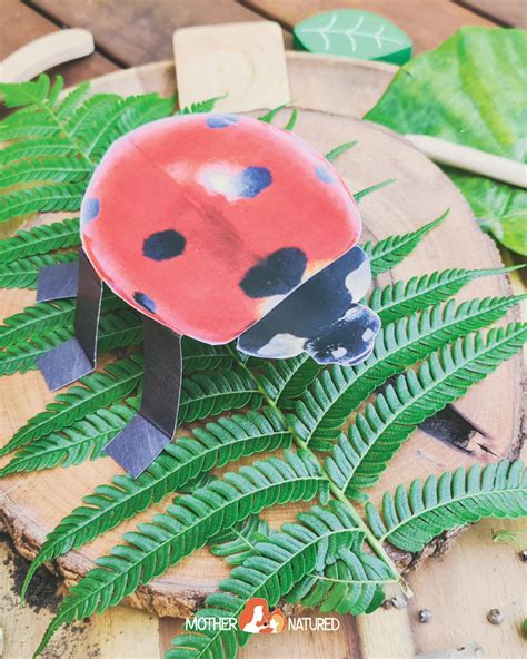 Ladybeetle Craft Ladybug Craft 3D Lady Beetle Craft Lady Bug Activity ...