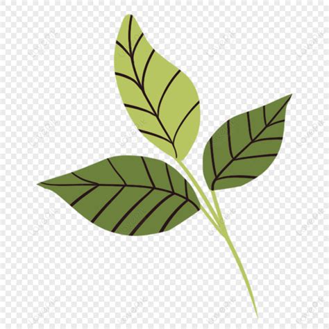 Hindu New Year Gudipada Green Branches And Leaves News Hindu New Year Gudhi Padwa, World, New ...