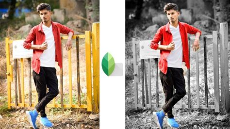 Image result for Snapseed Editing Tricks