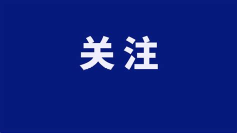 速看！2021年肥城高中指标生、艺体特长生录取情况及剩余计划！统招生、中职生报考须知_志愿