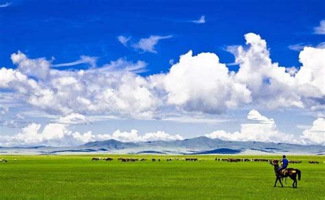 天苍苍野茫茫风吹草地见牛羊描绘的是哪个地方的景色 - 天奇教育