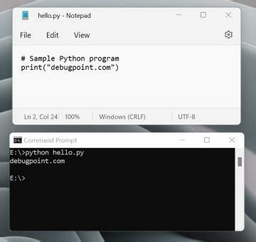 How to Write Python Windows 的图像结果