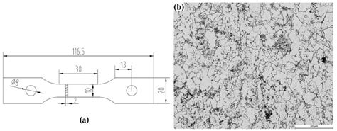 Stress Response Behavior, Microstructure Evolution and Constitutive ...