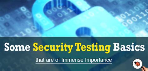 Image result for Security Testing Basics