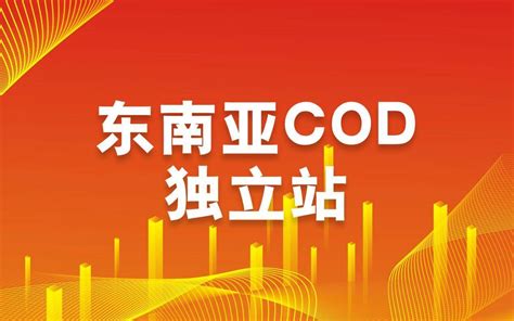 COD独立站东南亚市场怎么挖掘？有哪些优势?还能做吗？ - 脉脉