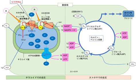 Learn OS Module Python From Beginning に対する画像結果