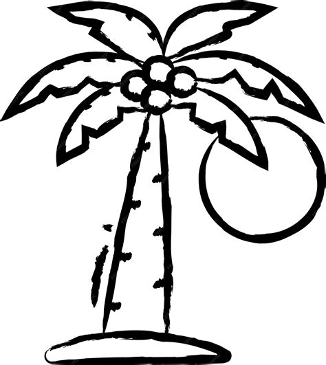Image result for Simple Color Vector Drawing Palm Tree