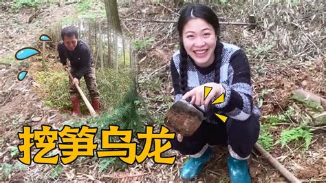 翠花带婆婆上山挖斑竹笋，收获满满一背篼，回家做笋子肉片汤味道太鲜美了_哔哩哔哩 (゜-゜)つロ 干杯~-bilibili