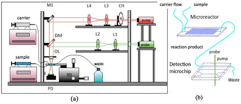 Recent Progress and Applications of Thermal Lens Spectrometry and ...