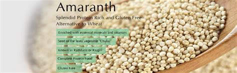 Farm & Farmers Organic Amaranth Flour 400gm Rajgira Atta Gluten Free ...