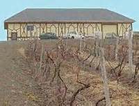 Wine in Plastic Tanks? - A Case Study from Cole-Parmer India