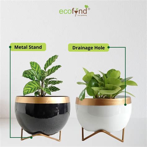 Metal Planter Pot with Gold Stand – Ecofynd
