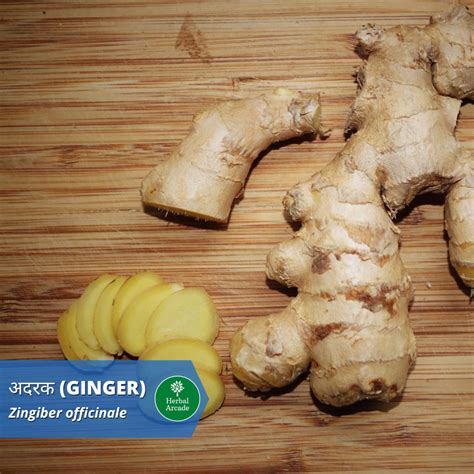 Sheesham (शीशम) Intro, Health Benefits, Usage, Gallery — Herbal Arcade