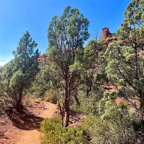 BALDWIN TRAIL - All You Need to Know BEFORE You Go 2026 (with Photos ...