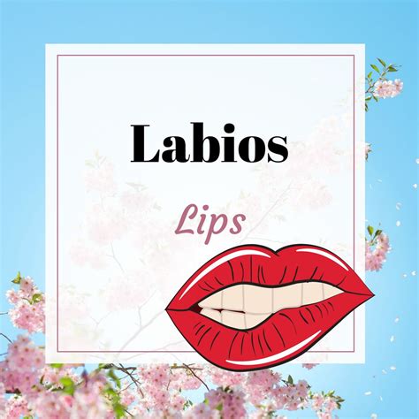 Learn Spanish: The Importance of Lips in Our Body
