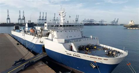 UAE and Indonesia unite to treat Gaza patients under Operation Gallant ...