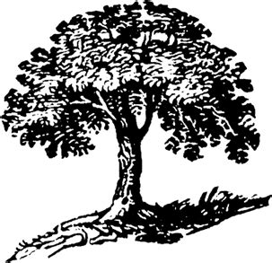 Palmer Mortuary | Seguin, TX