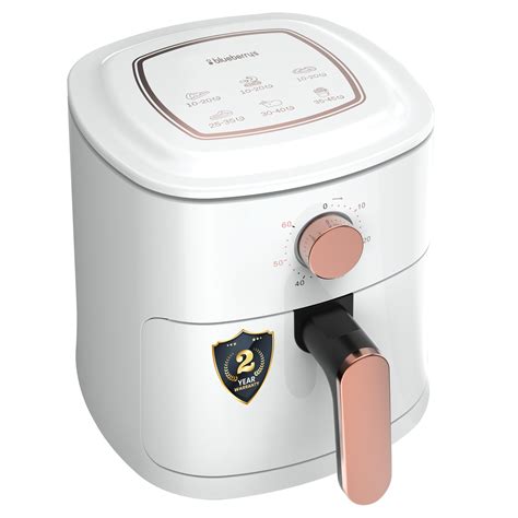 Buy Blueberry's Digital Air Fryer: 90% Less , 700W Power, 2.5L Capacity ...