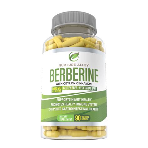 Buy Berberine Complex - Berberine HCL 1200mg Plus Ceylon Cinnamon 200mg ...