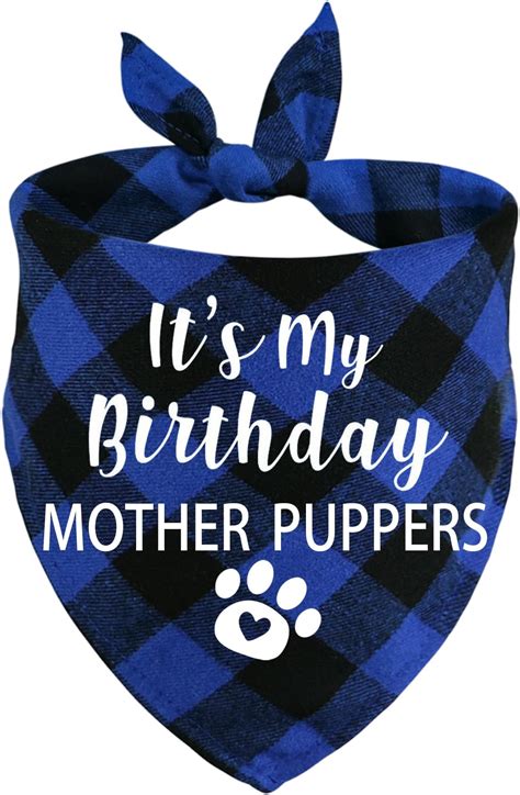 Amazon.com : STMK Dog Birthday Bandana, It' s My Birthday Mother ...