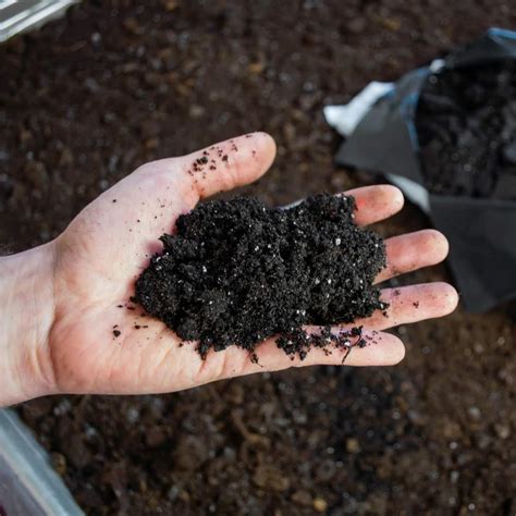 Buy Ericaceous Compost 25 Litre Pack Ericaceous Soil for -Loving s For ...