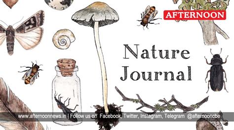 No association between use of ranitidine and risk of cancer : Nature ...