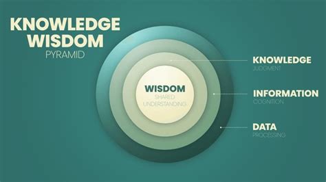 Image result for Data Pyramid Model