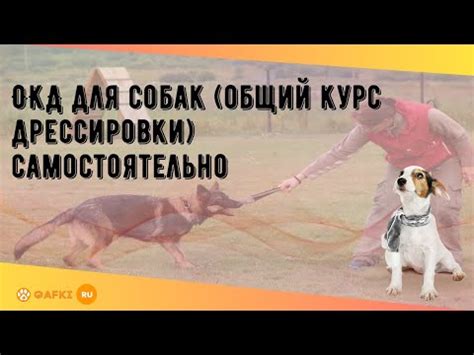 ОКД, общий курс дрессировки собак, правила и нормативы ОКД, цена ...