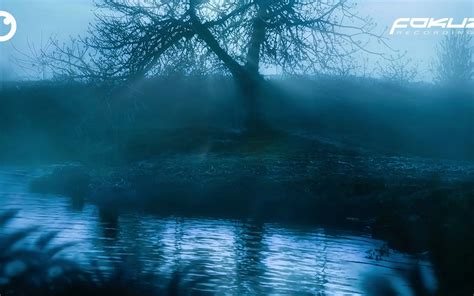 Olive Musique - Everything About You (lyrics)