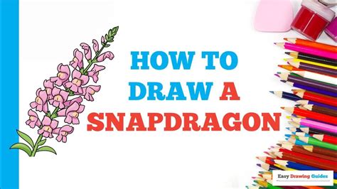Image result for SnapNDrag Tutorial