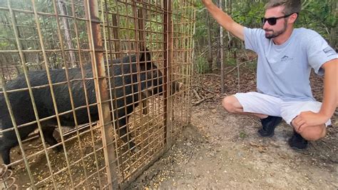 Hog Trap Shooting 的图像结果