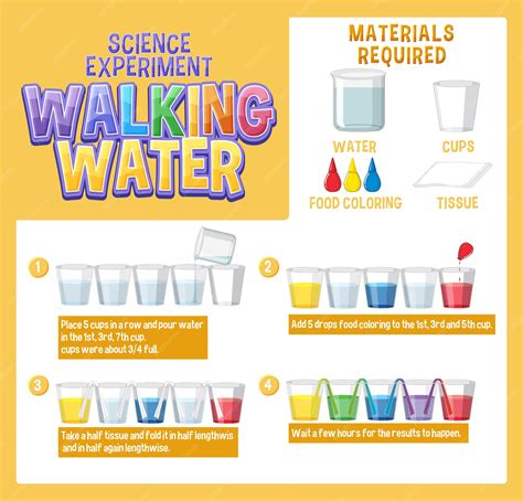 Premium Vector | Walking water science experiment