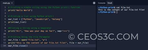 Image result for Python Install Printer
