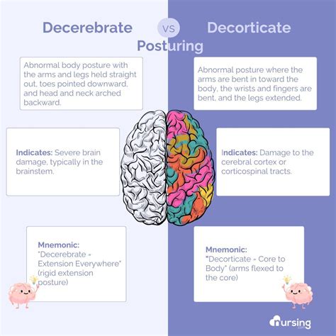 Posturing Decerebrate Vs Decorticate