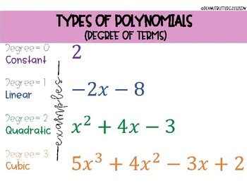 Polynomial Data Chart 的图像结果
