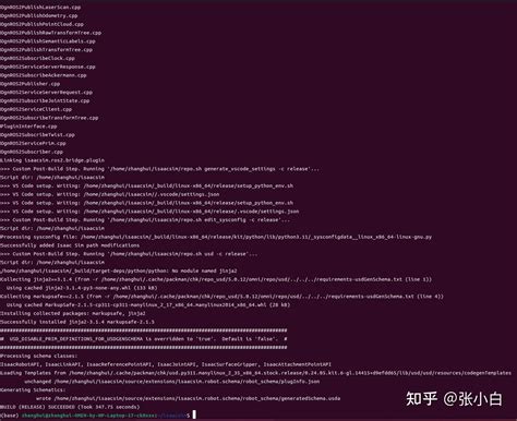 Iassim Programming Tutorial 的图像结果