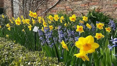 CASTLE BROMWICH HISTORIC GARDENS (2026) All You Need to Know BEFORE You ...